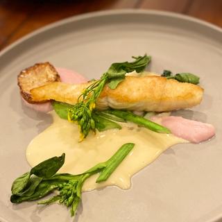 ポワソン 新鮮鮮魚