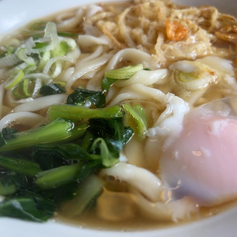 きしめん大、天ぷら、たまご(山喜うどん)