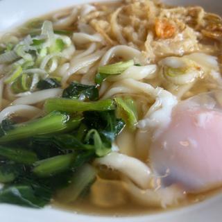 きしめん大、天ぷら、たまご(山喜うどん)