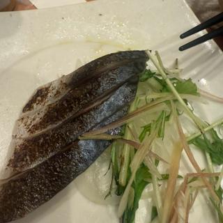 炙りしめ鯖
