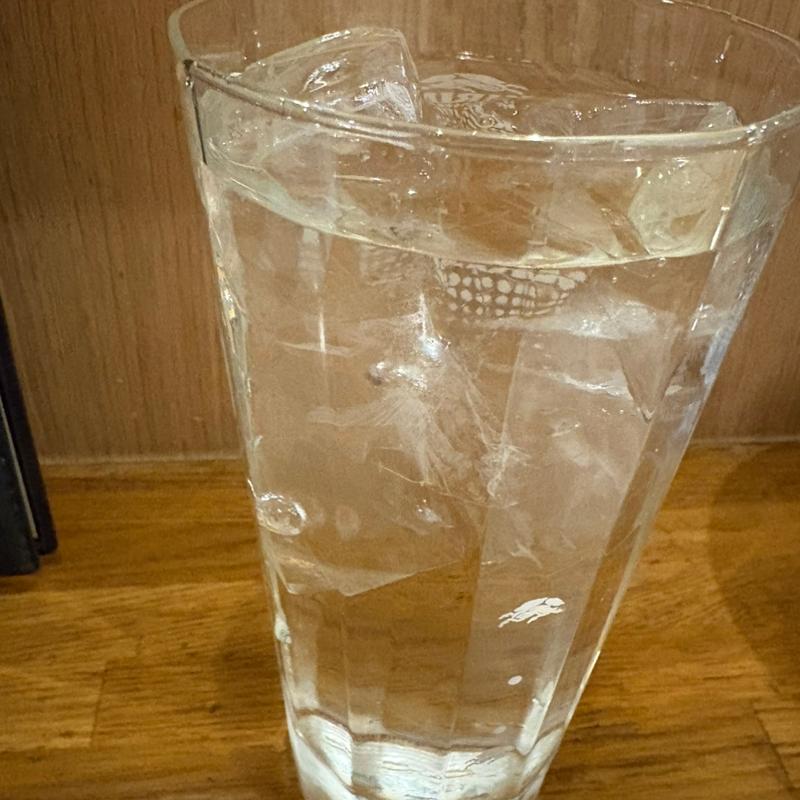 焼酎(サケトメシ 百春)