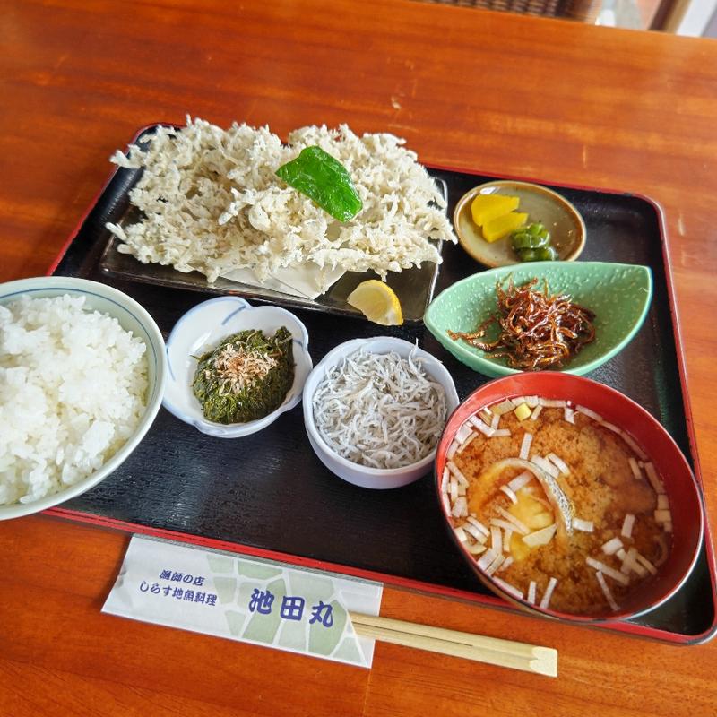 しらす定食(池田丸 稲村ガ崎店)