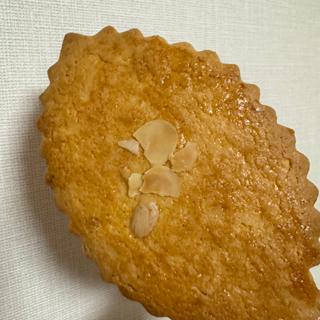 霧島サブレ（5枚入）(風月堂 )