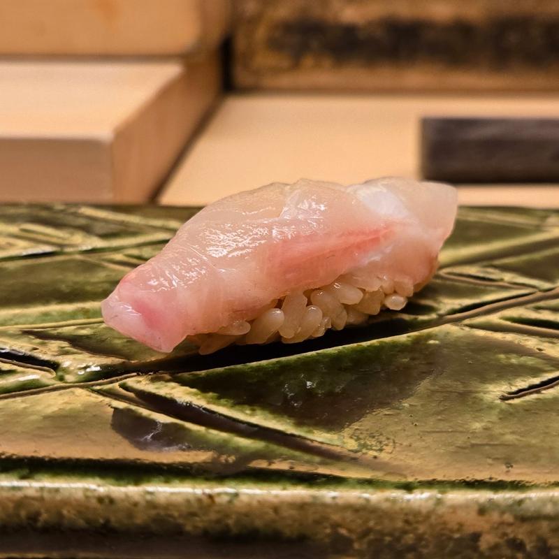 白甘鯛 握り(鮨 髙橋 謙太郎)