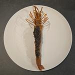 足赤海老のカンジャンセウ