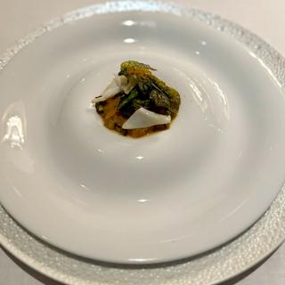 ヤリイカの瞬間ソテートリカリノスボッタルガ 香ばしくローストした菜の花とリボッリータ