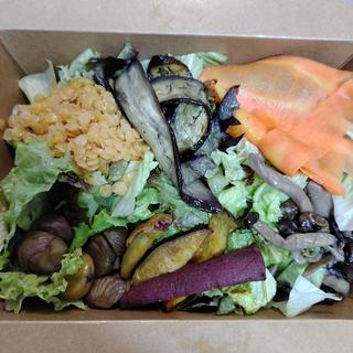 秋のサラダ(CITRON)