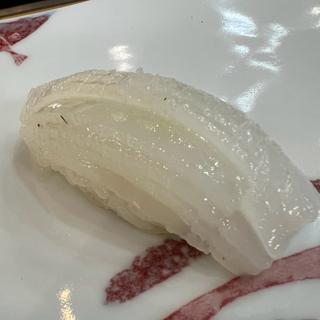 アオリイカ　握り