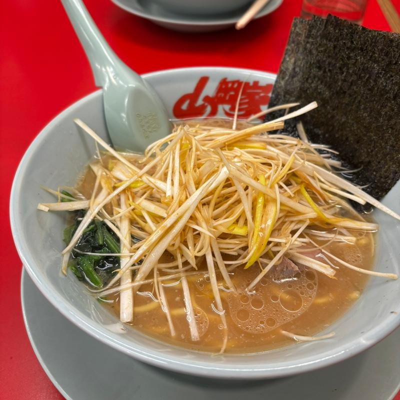 醤油ネギラーメン(ラーメン山岡家 狸小路4丁目店)