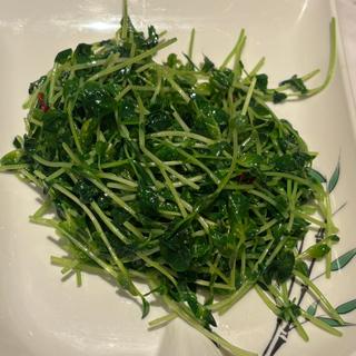 豆苗炒め(中華食堂 一番館 中野サンモール店)