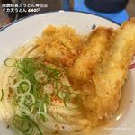 イカ天うどん