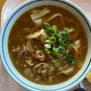 カレーうどん(釜揚げうどん　白粉屋 （しらこなや）)