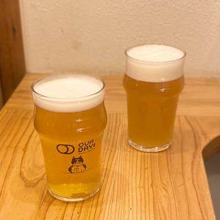 セッションNEIPA