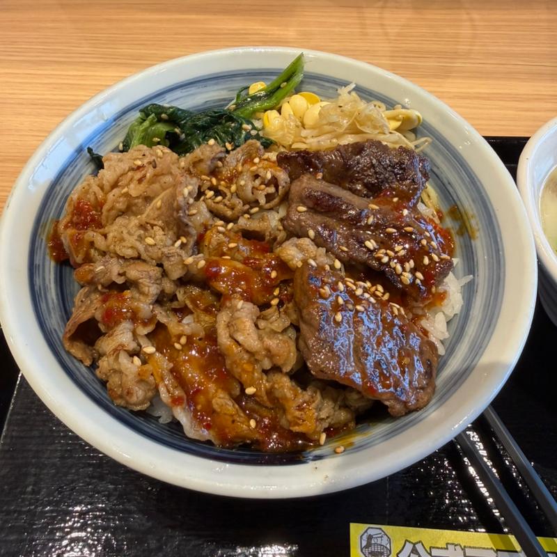 【二種盛り】カルビと厚切りハラミ丼 カルビ肉大盛り(焼きたてのかるび 北本店)