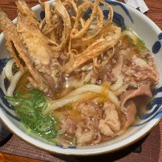博多牛ごぼううどん(伝統自家製麺 いけや食堂)