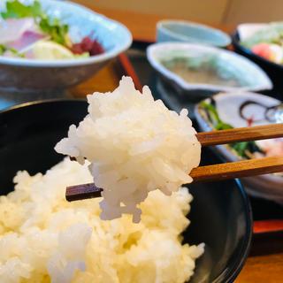 伊佐米_刺身付き天ぷら定食(和食 みち潮)