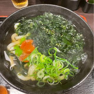 梅わかめうどん