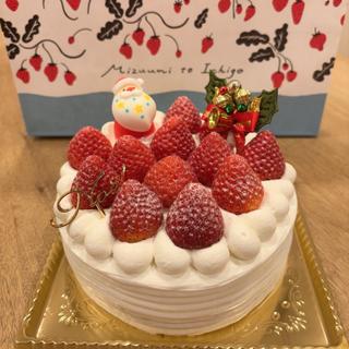 クリスマスケーキ(湖と苺)