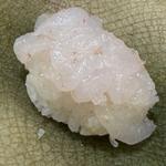 富山湾 白えびの握り