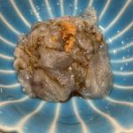 静岡産 生しらす