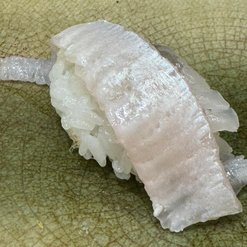 ヒラメのえんがわの握り(千成寿司本店)