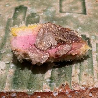 鴨ロースのカツ トリュフがけ(レストレ)