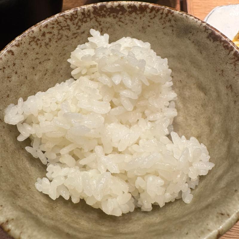ご飯(レストレ)