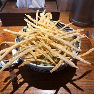 ゴボウ天うどん