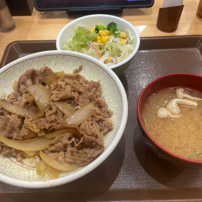 牛丼+サラダセット(すき家 城陽久世店 )