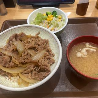 牛丼+サラダセット