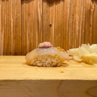 かわはぎ肝のせ(鮨屋とんぼ 栄店)