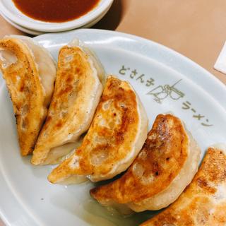 餃子(どさん子 亀有南口店)