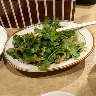 羊のパクチーサラダ