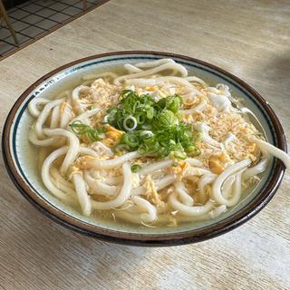 卵とじうどん　中(柳川製麺所 やな川うどん 本店)