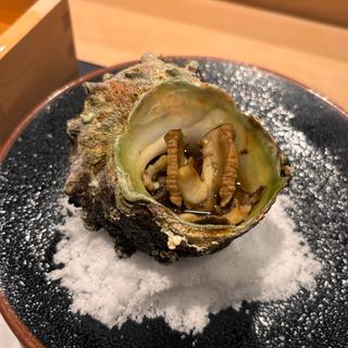 サザエの壺焼き(寿司◯もと)