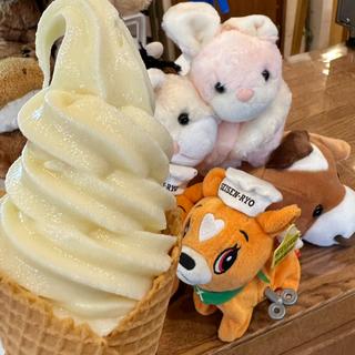 プレミアムソフトクリーム