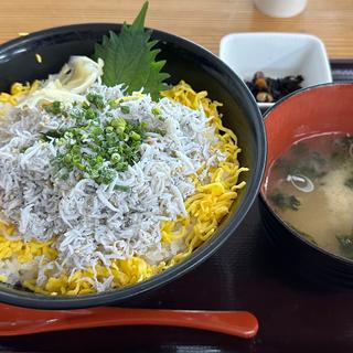 釜揚しらす丼