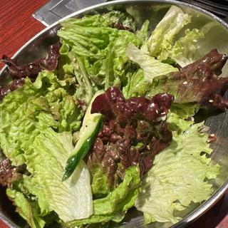 チョレギサラダ(京城苑 小田原成田店)