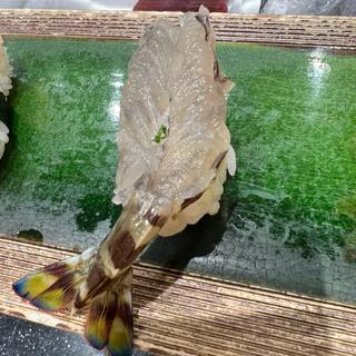 活車海老握り(すし 魚游 関内駅前店)