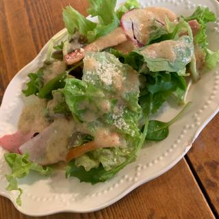 ランチサラダS(ニチーノ)