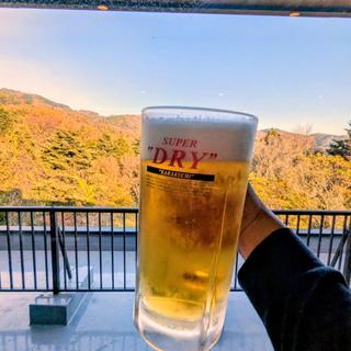 大生ビール(筑波山温泉 つくば湯)