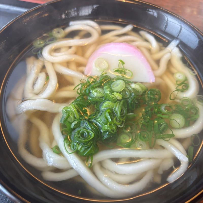 うどん( もとなり )