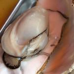 特撰カラ付(かき小屋 島田水産 )