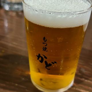 瓶ビール　マルエフ(もつ焼かど 琴似店)