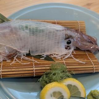 あおりいか（呼子・長崎）(八千代丸 博多駅前店 )