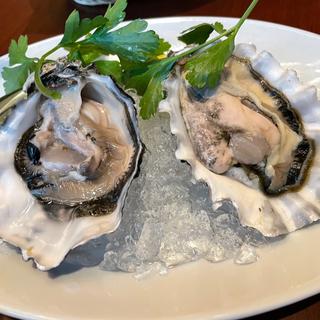 ワシントン産の牡蠣
