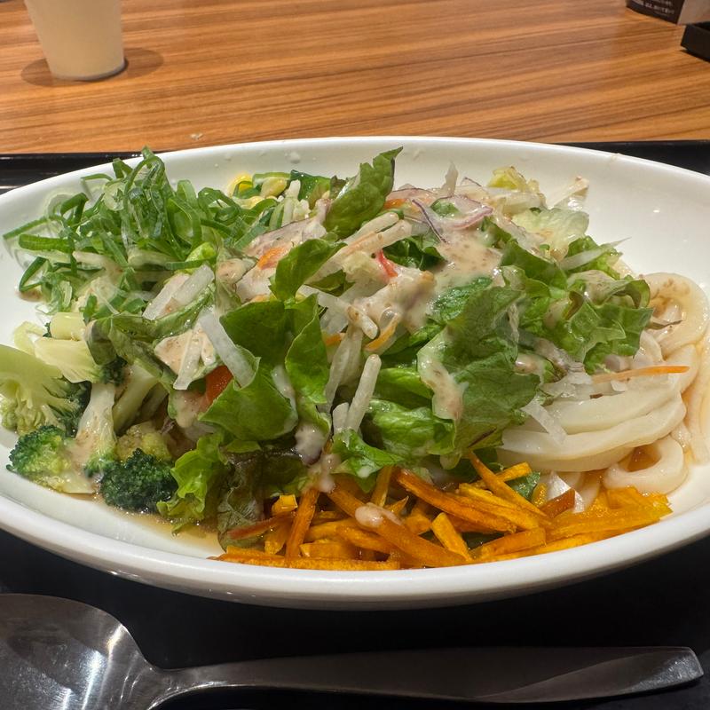 10種野菜のサラダうどん(はなまるうどん MIDORI長野店 )