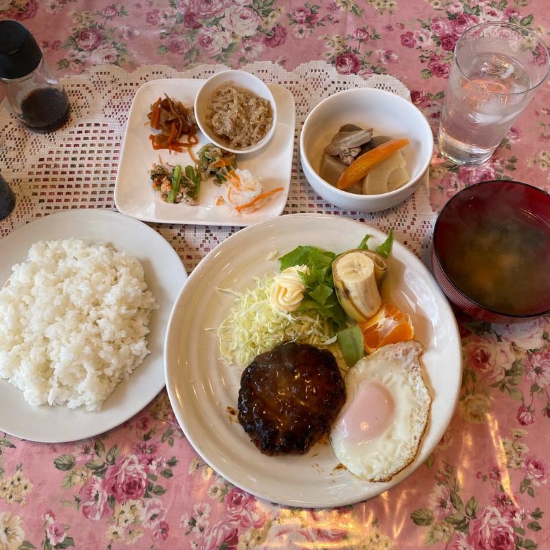 本日のおすすめ(タンポポ )