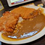 パリパリチキンカレー＋ロースカツトッピング(ライス350g)