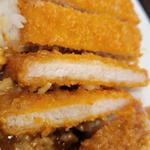 パリパリチキンカレー＋ロースカツトッピング(ライス350g)(カレーハウス CoCo壱番屋 ＪＲ東浦和駅前店)